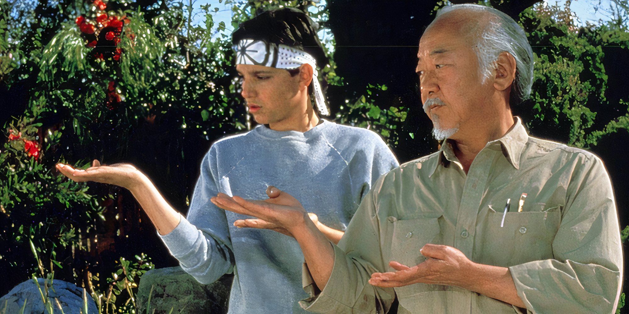 10 Best Hollywood Martial Arts Movies, Ranked Daniel and Mr Miyagi train