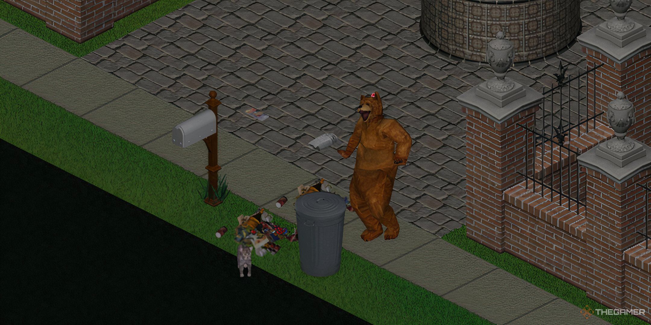 A bear dancing by the trash at 3am.