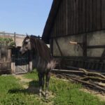 How To Get A Horse In Kingdom Come Deliverance 2