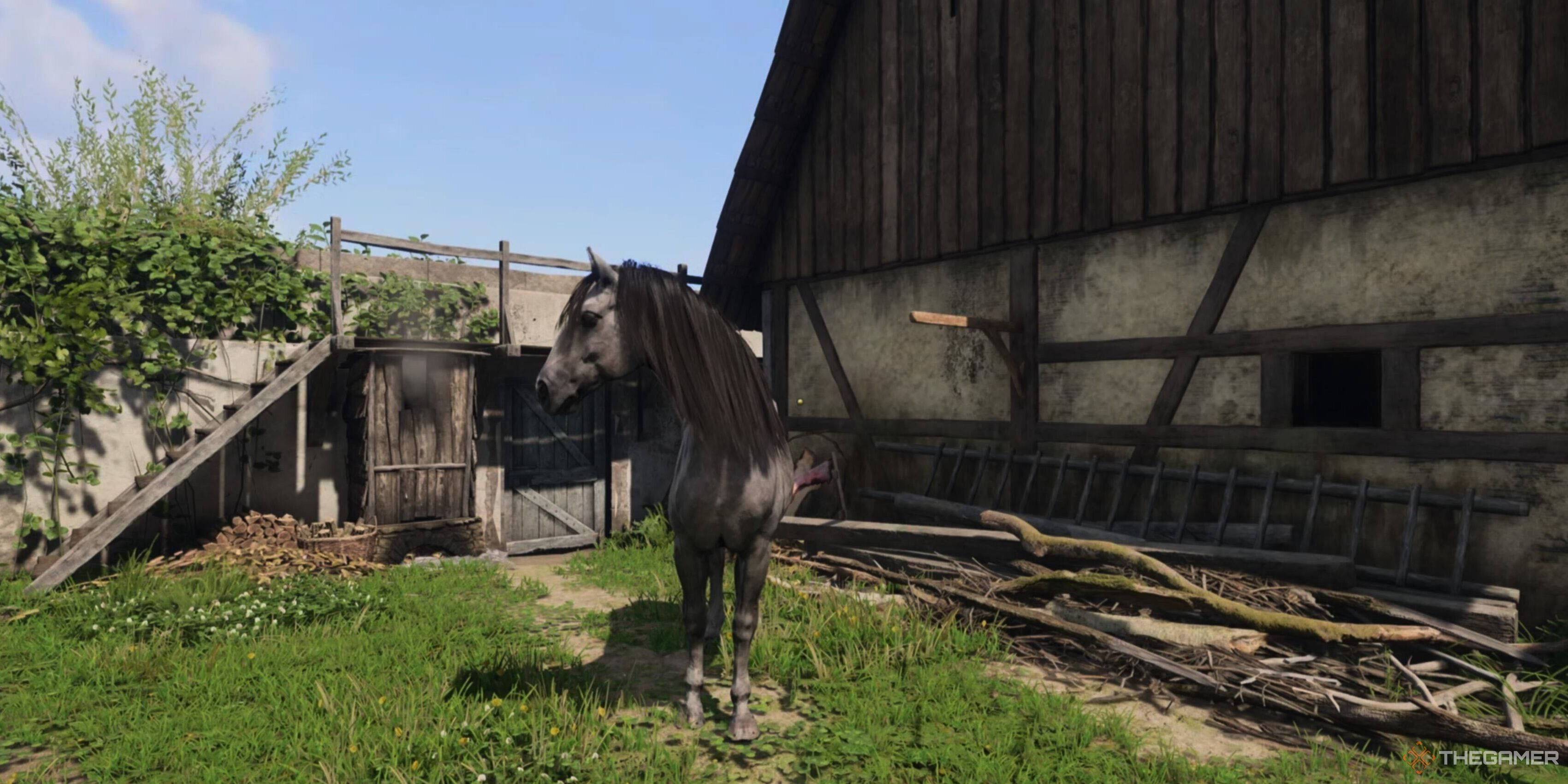 Your horse in Kingdom Come: Deliverance 2.