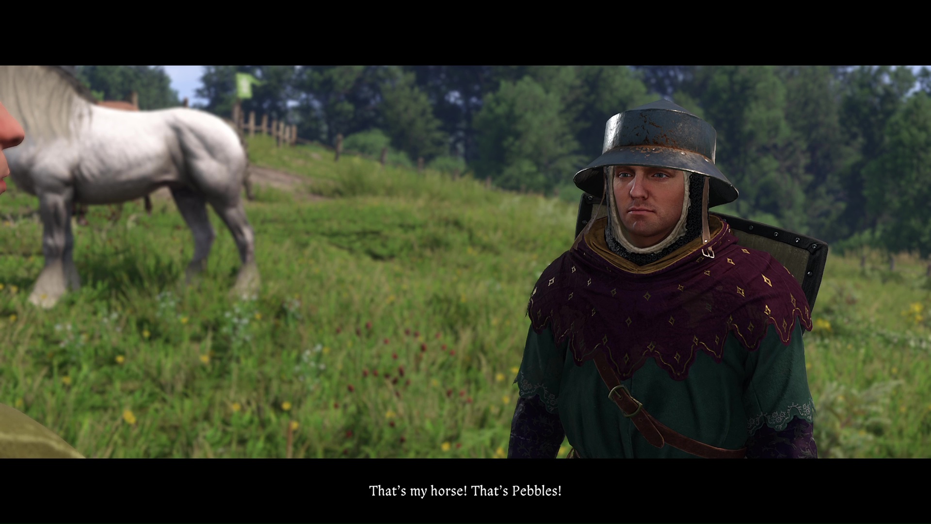 Kingdom Come Deliverance 2 Horses