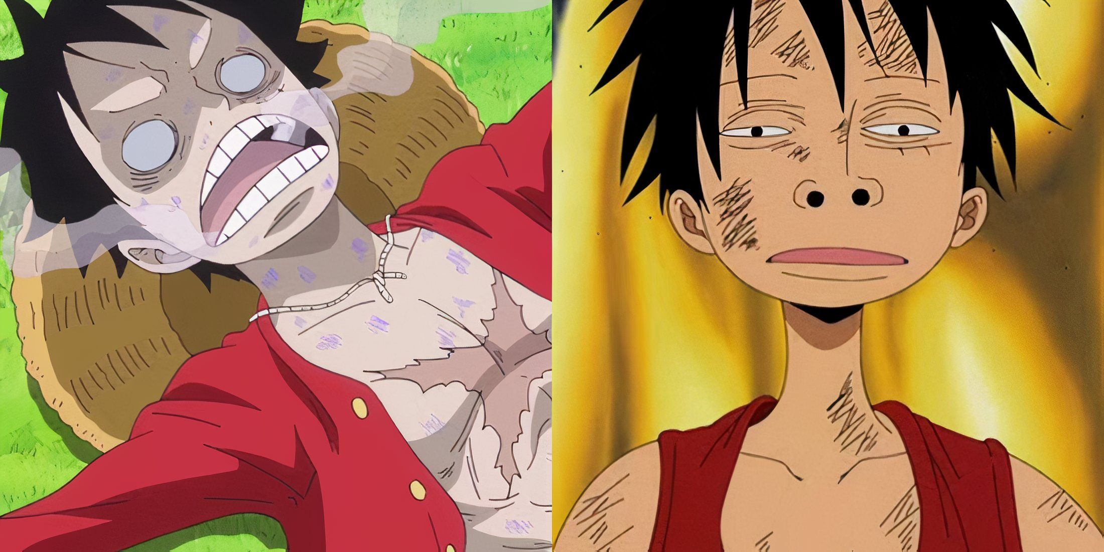 Luffy Dumb Face