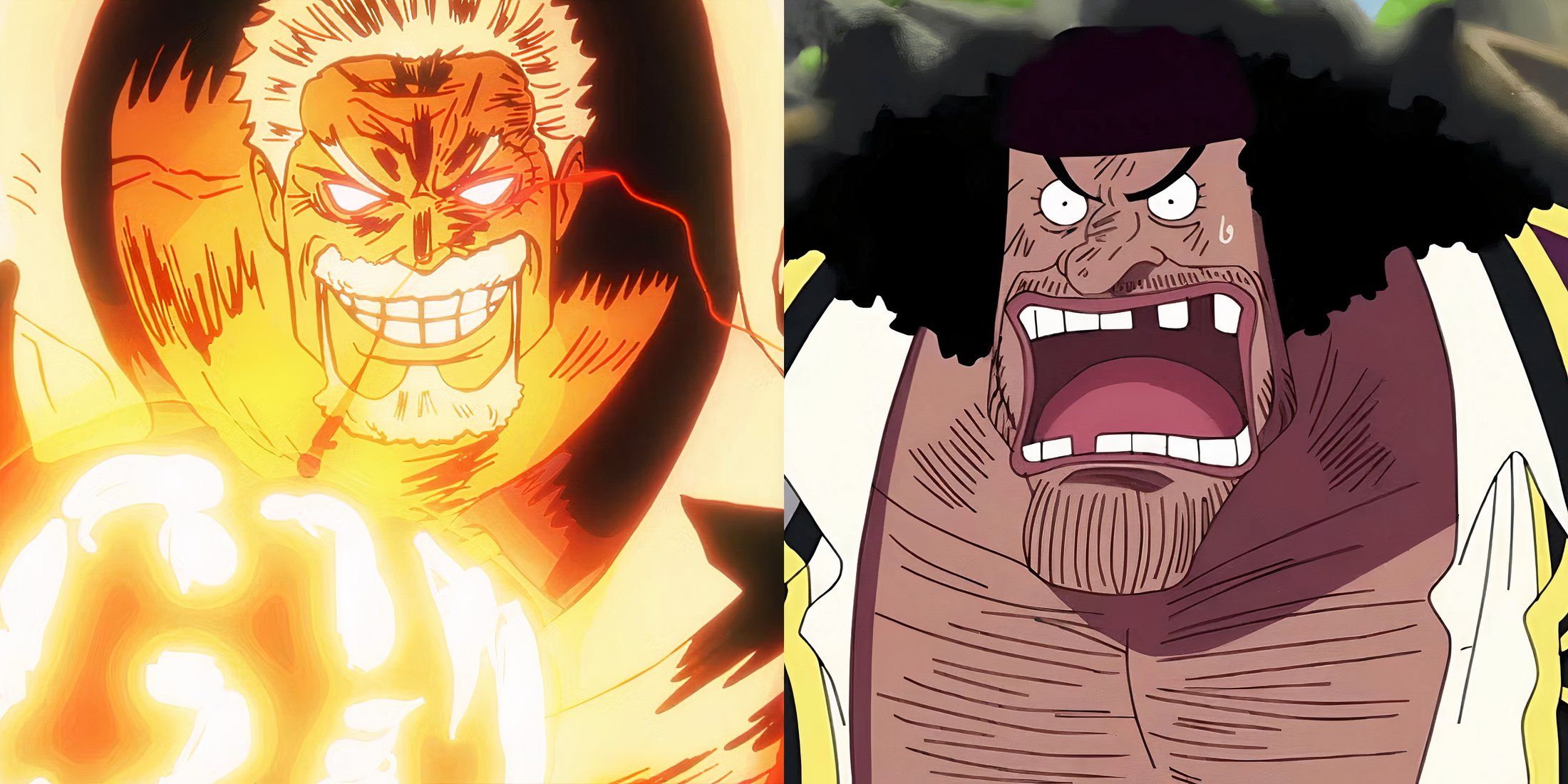 Garp Blackbeard One Piece