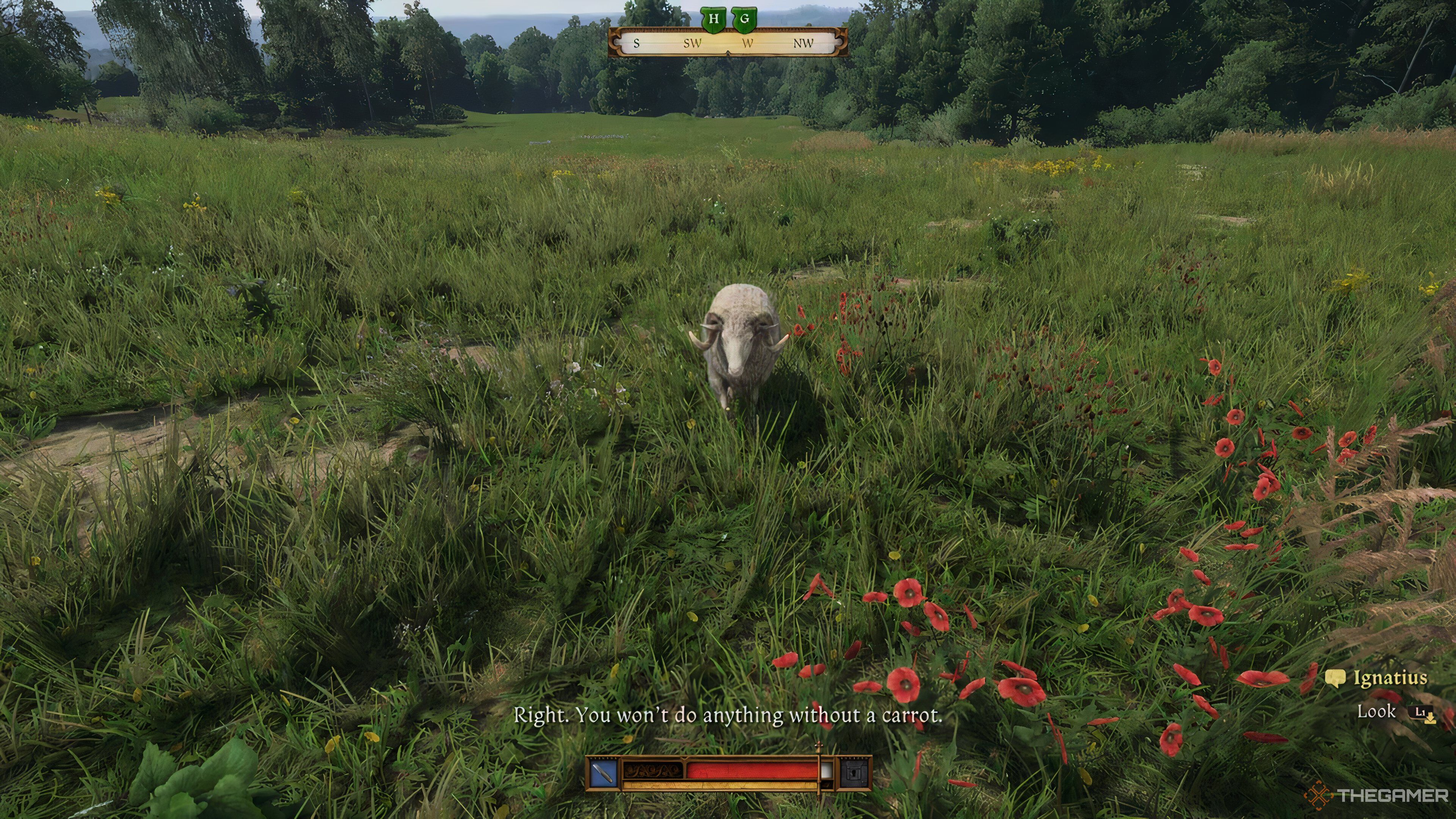 The Ram in Kingdom Come Deliverance 2.