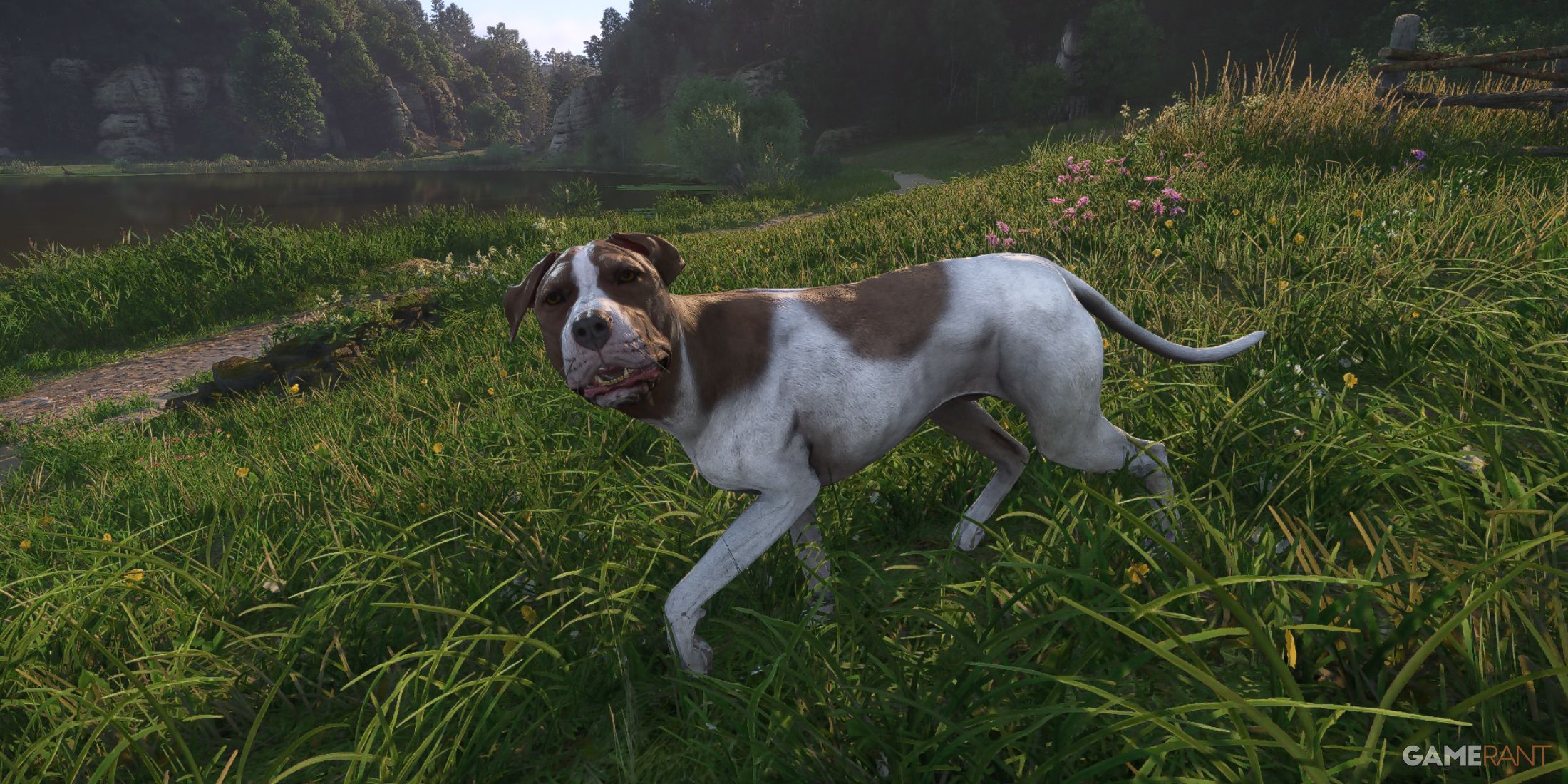 Henry's loyal dog, Mutt, exploring a vibrant medieval field in Kingdom Come Deliverance 2