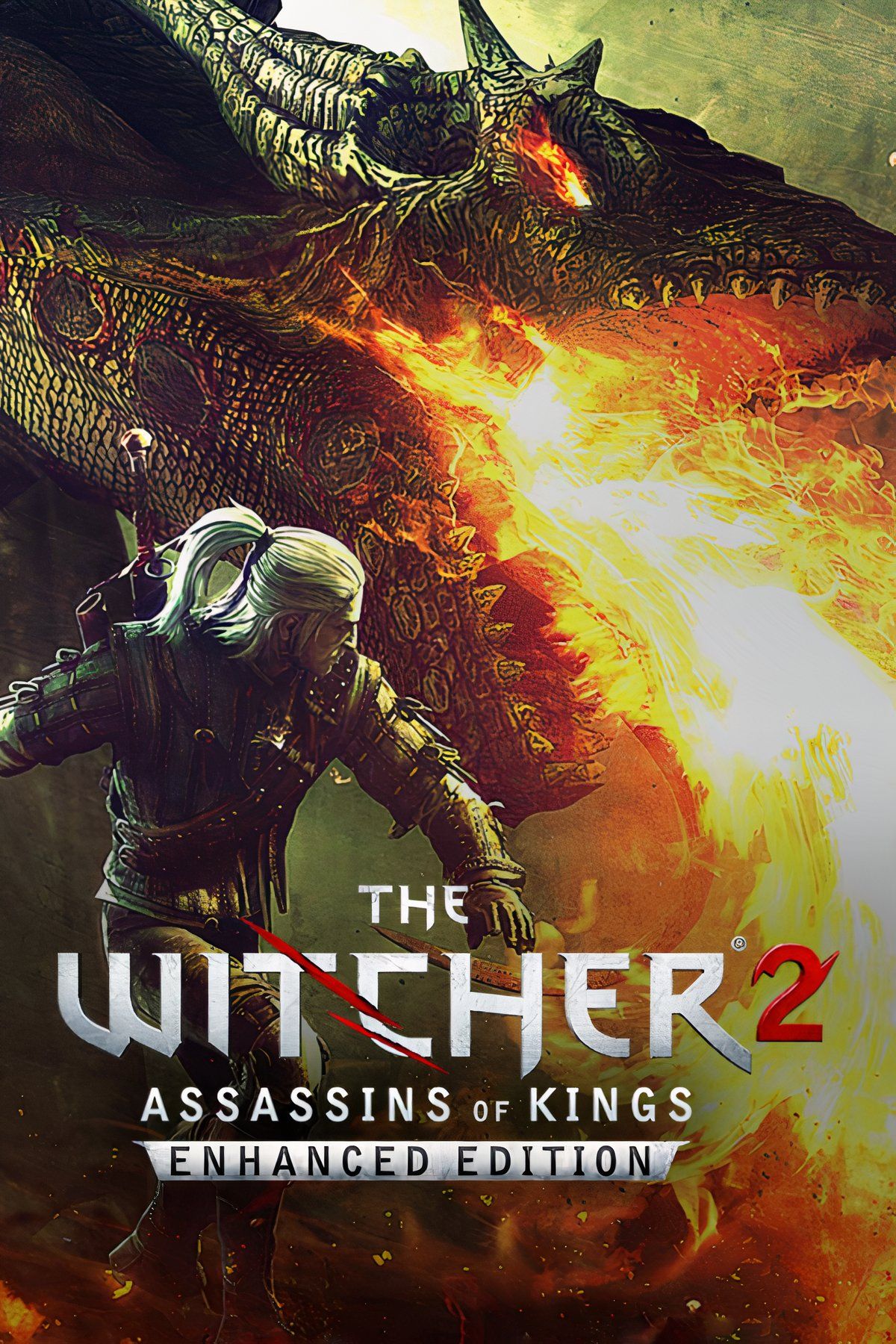 The Witcher 2 Tag Page Cover Art