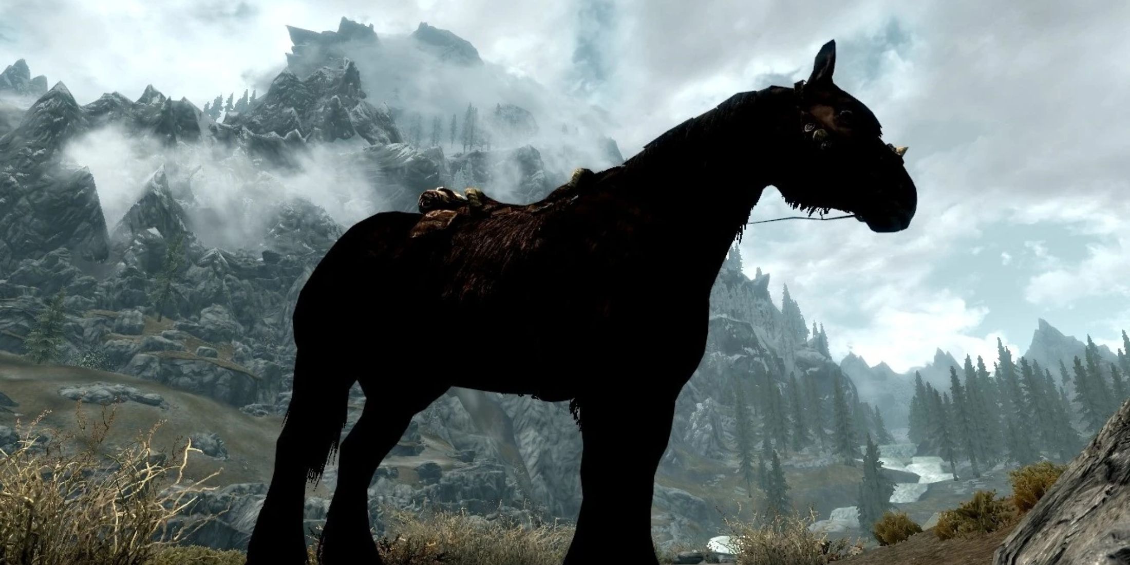 The Elder Scrolls 5 Skyrim horse