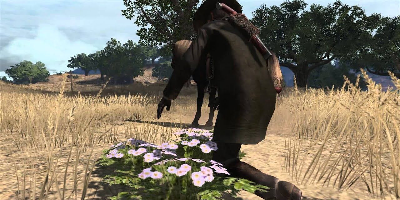 Gathering plants in Red Dead Redemption