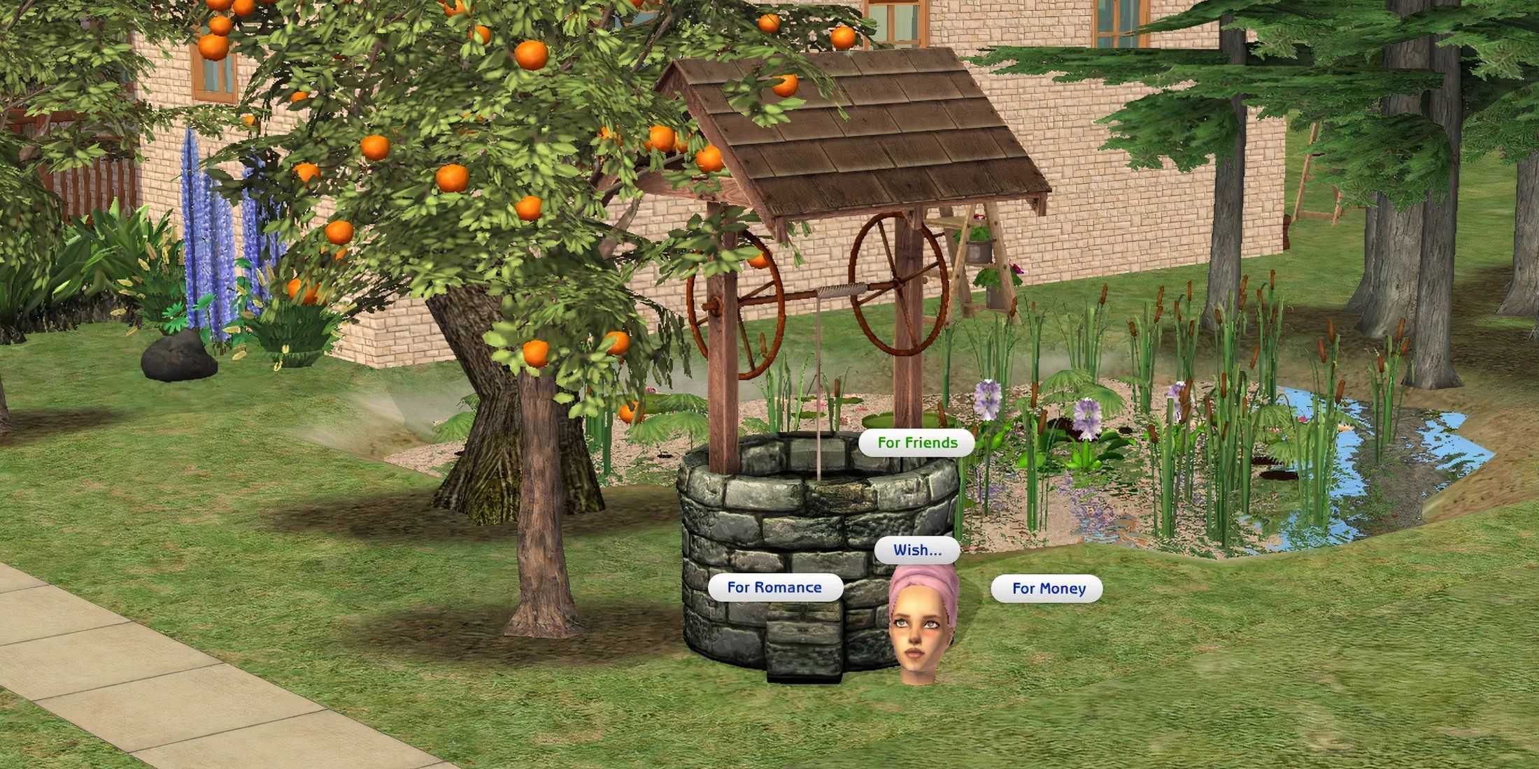 the wishing well in the sims 2