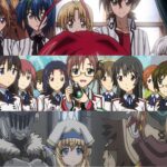 Most Oblivious Harem Anime Protagonists