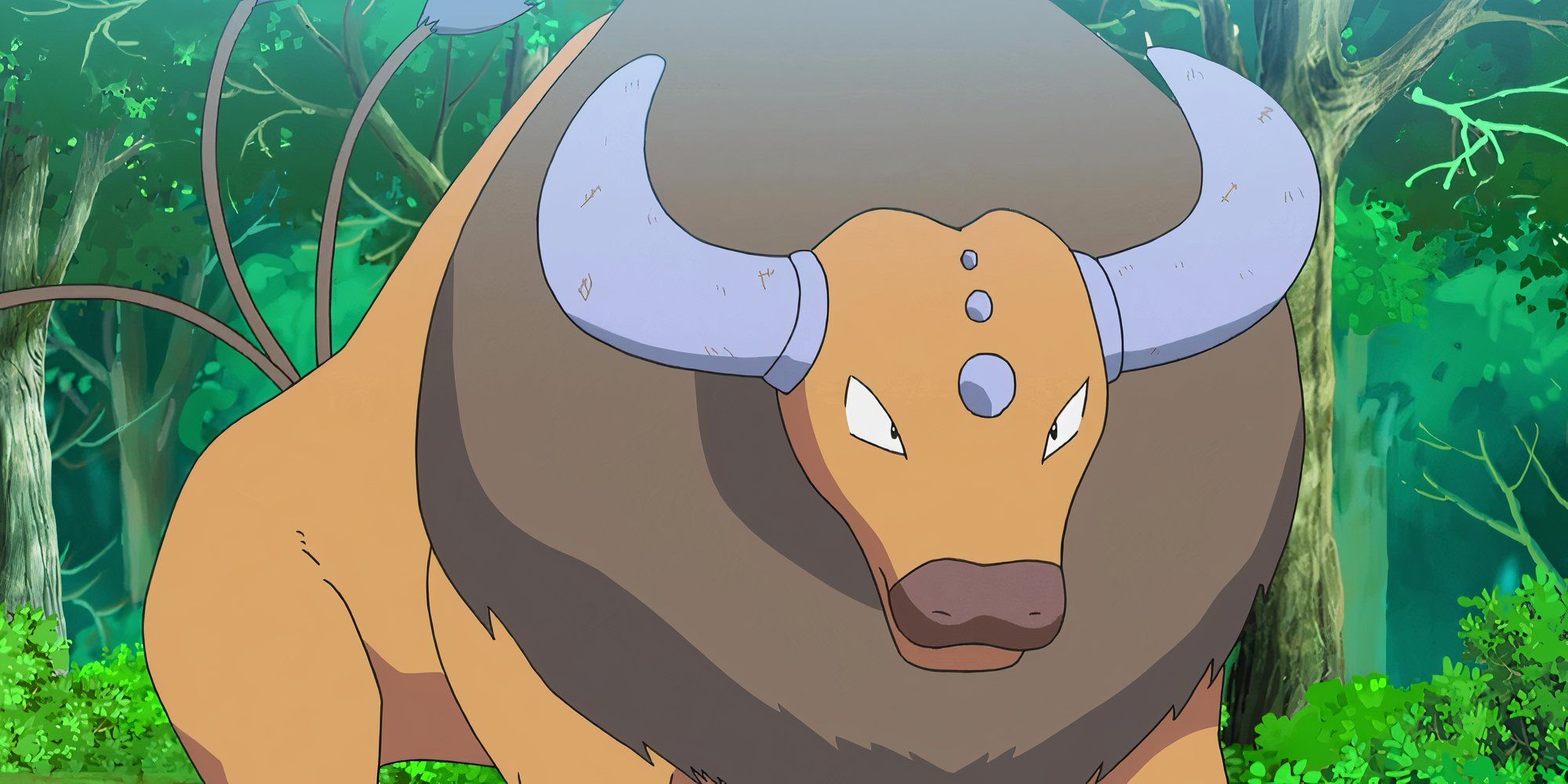 Tauros In The Pokemon Anime