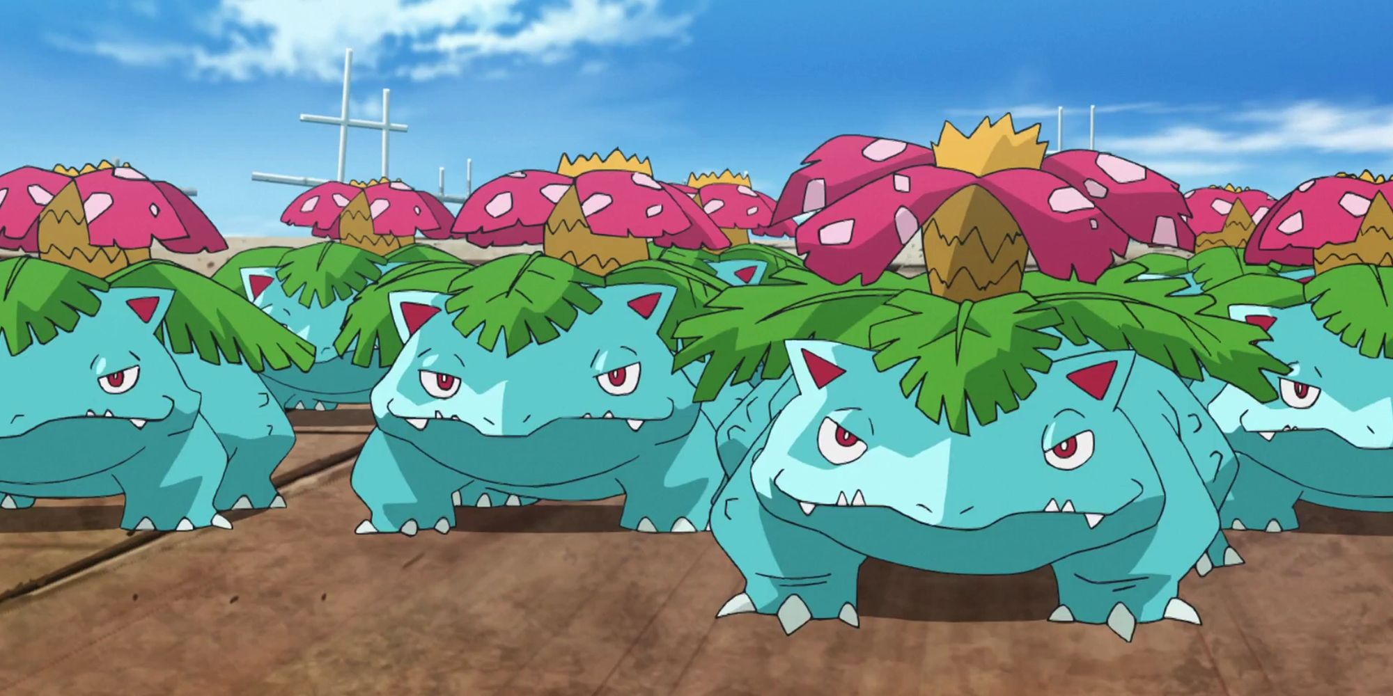 Venusaur In The Pokemon Anime