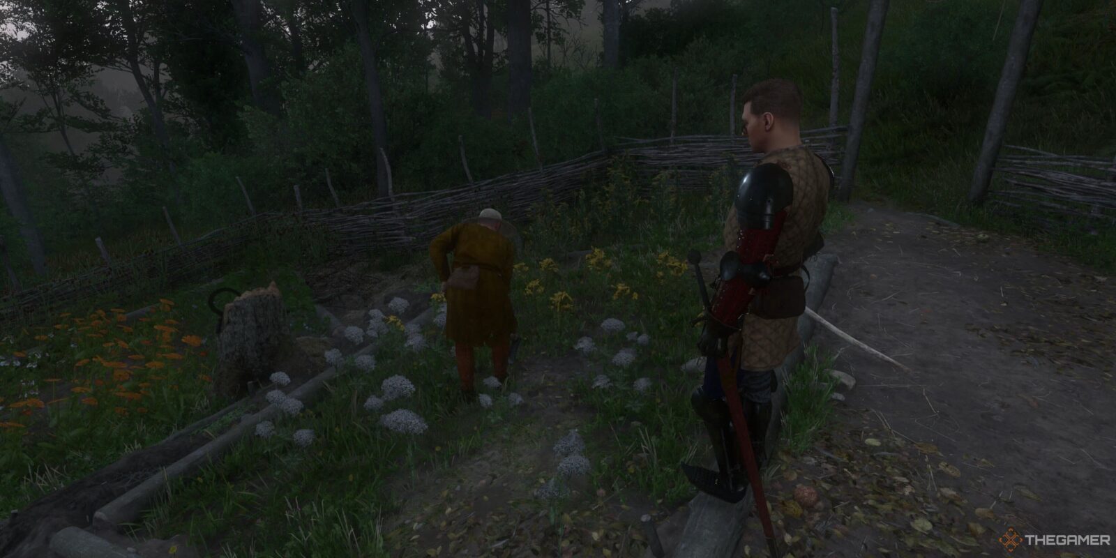 How To Get And Make Poison In Kingdom Come: Deliverance 2