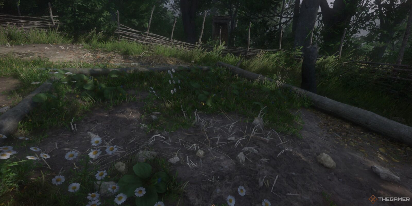 Where To Find Herb Paris In Kingdom Come: Deliverance 2