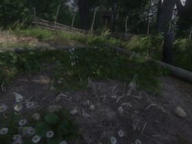 Where To Find Herb Paris In Kingdom Come: Deliverance 2