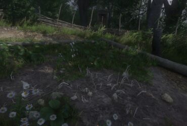 Where To Find Herb Paris In Kingdom Come: Deliverance 2