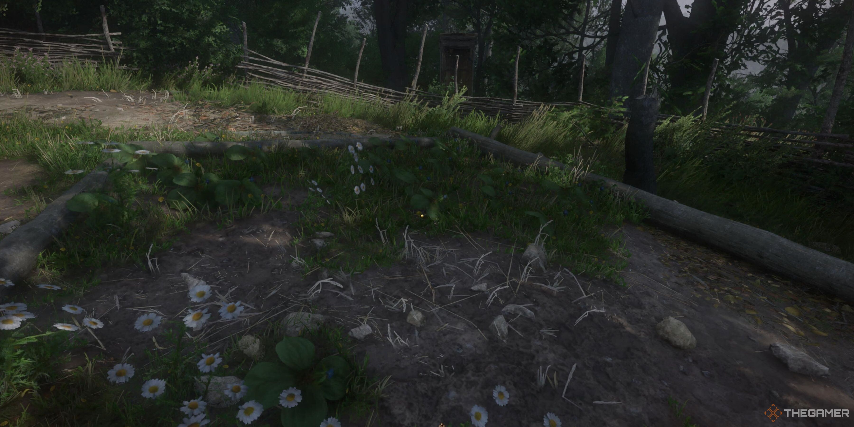 Herb Paris in a garden in Kingdom Come: Deliverance 2.