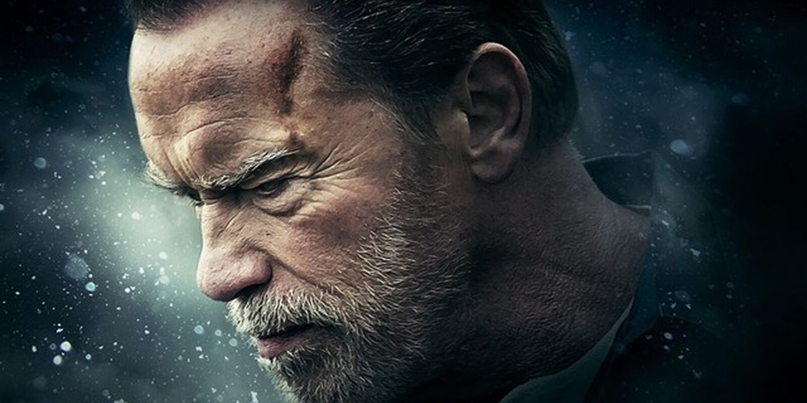 February 10 Will Be a Good Day for Arnold Schwarzenegger Fans on Netflix