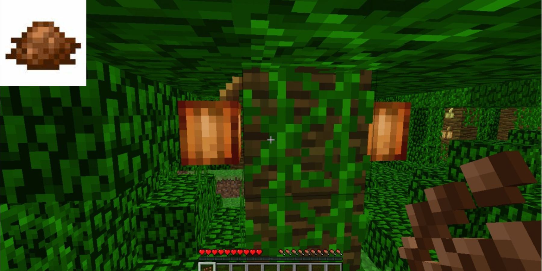 All dyes in Minecraft - Brown Dye 