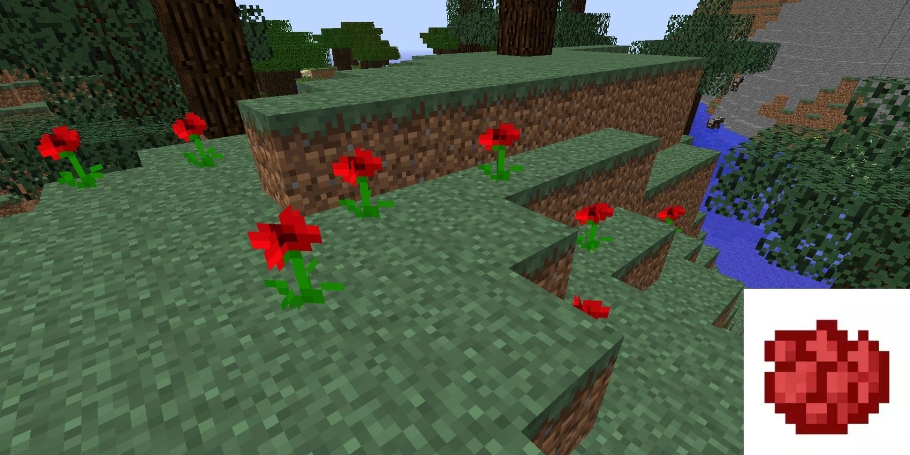 All dyes in Minecraft - Red Dye 