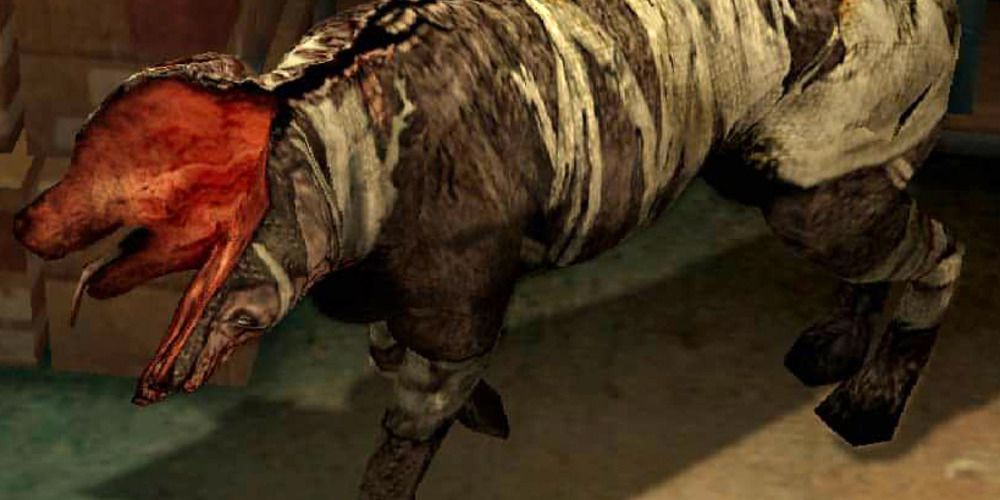 A Double Head from Silent Hill 3, a diseased dog with its head split down the middle.