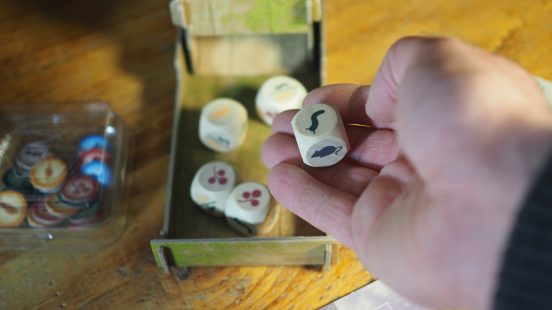 A hand holds a die from Wingspan over the dicetower