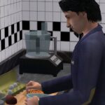 How To Level Cooking Skill In The Sims 2