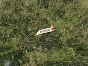 How To Get Eyebright In Kingdom Come: Deliverance 2