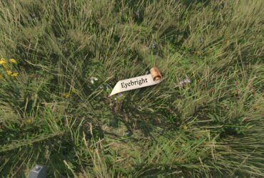 How To Get Eyebright In Kingdom Come: Deliverance 2