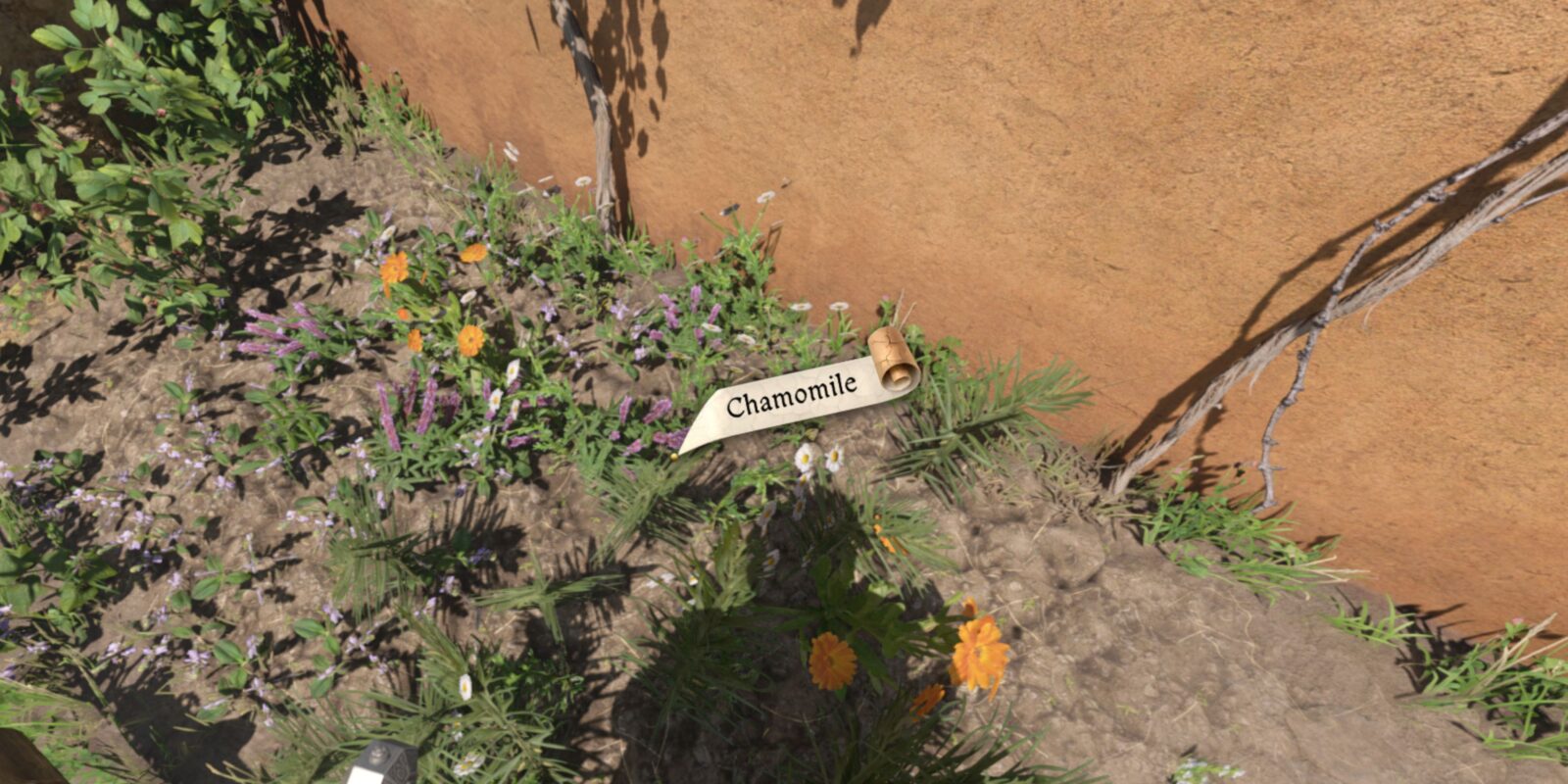 How To Get Chamomile In Kingdom Come: Deliverance 2