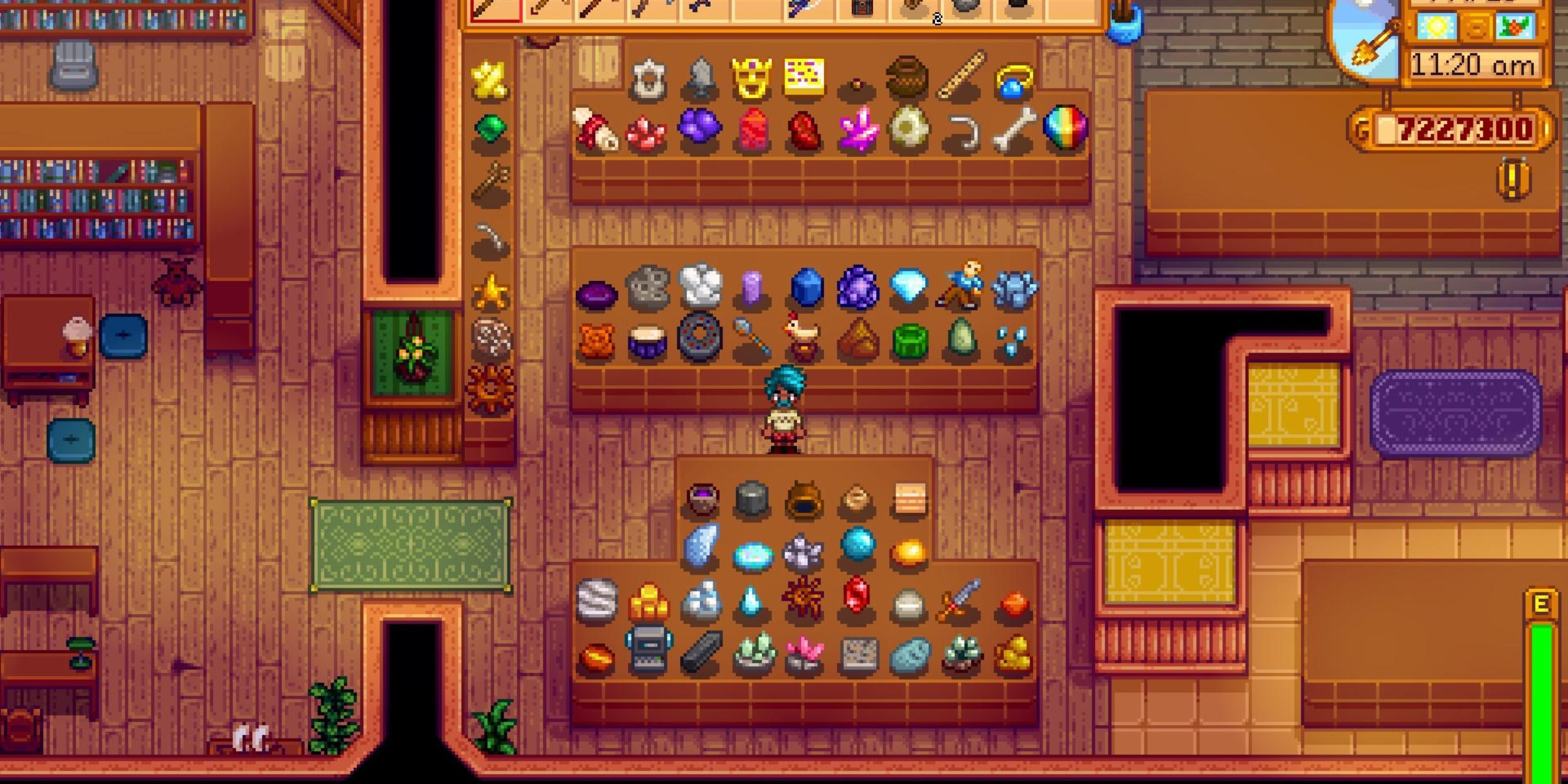 Museum Collection Stardew Valley