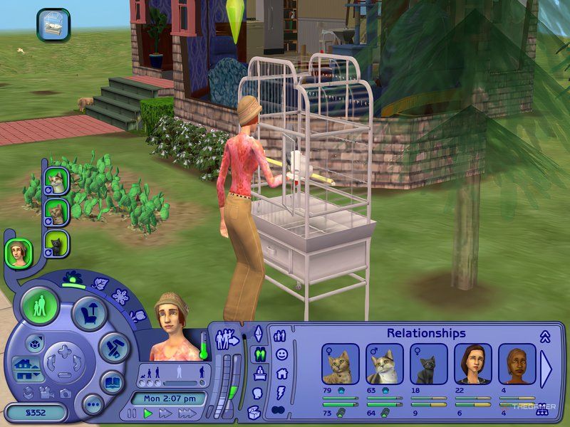 The player is tending to a parrot in The Sims 2