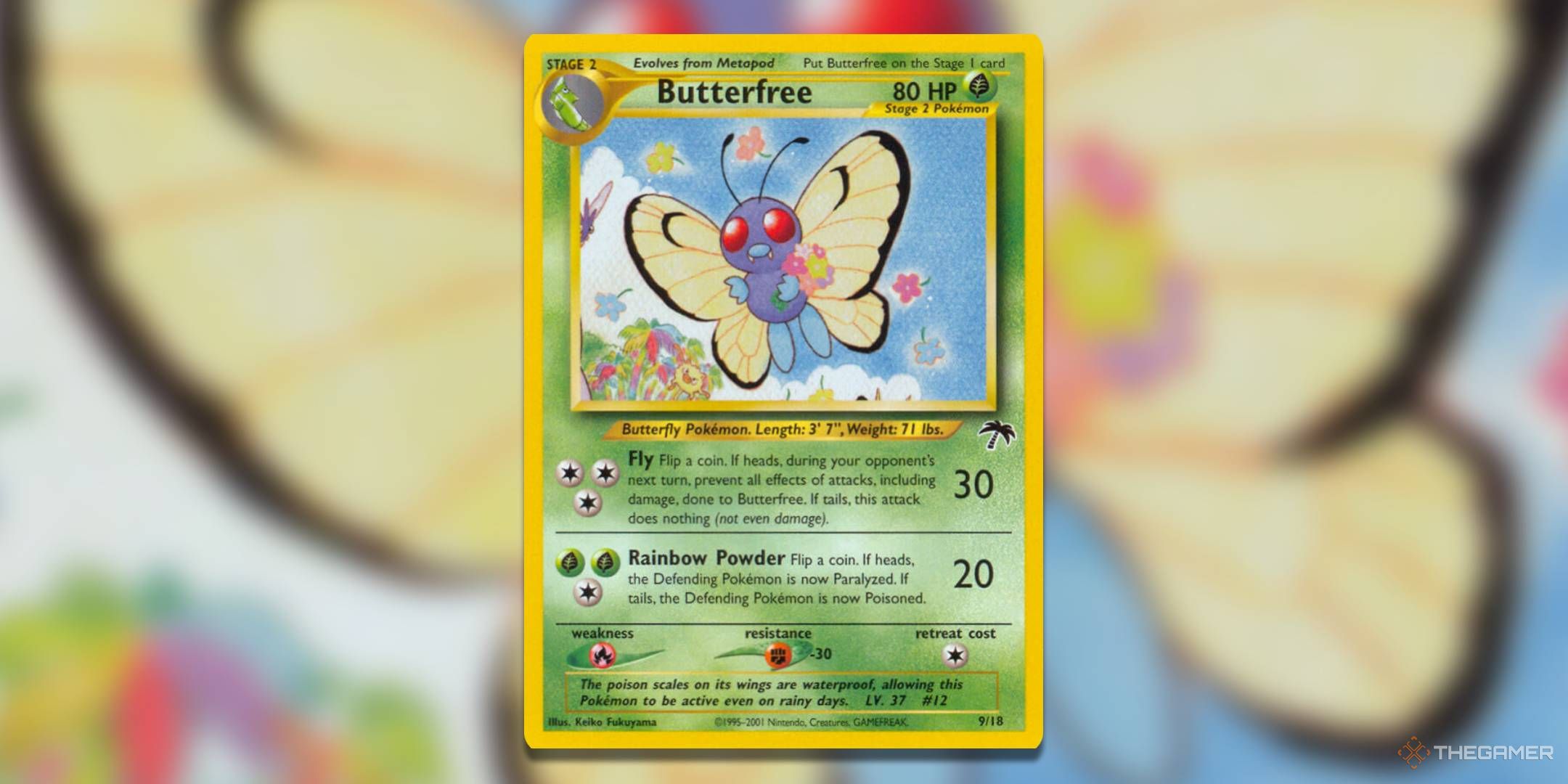 Pokemon TCG Southern Islands Butterfree.