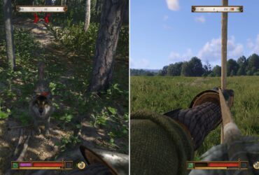 Which Animals Should You Hunt In Kingdom Come: Deliverance 2