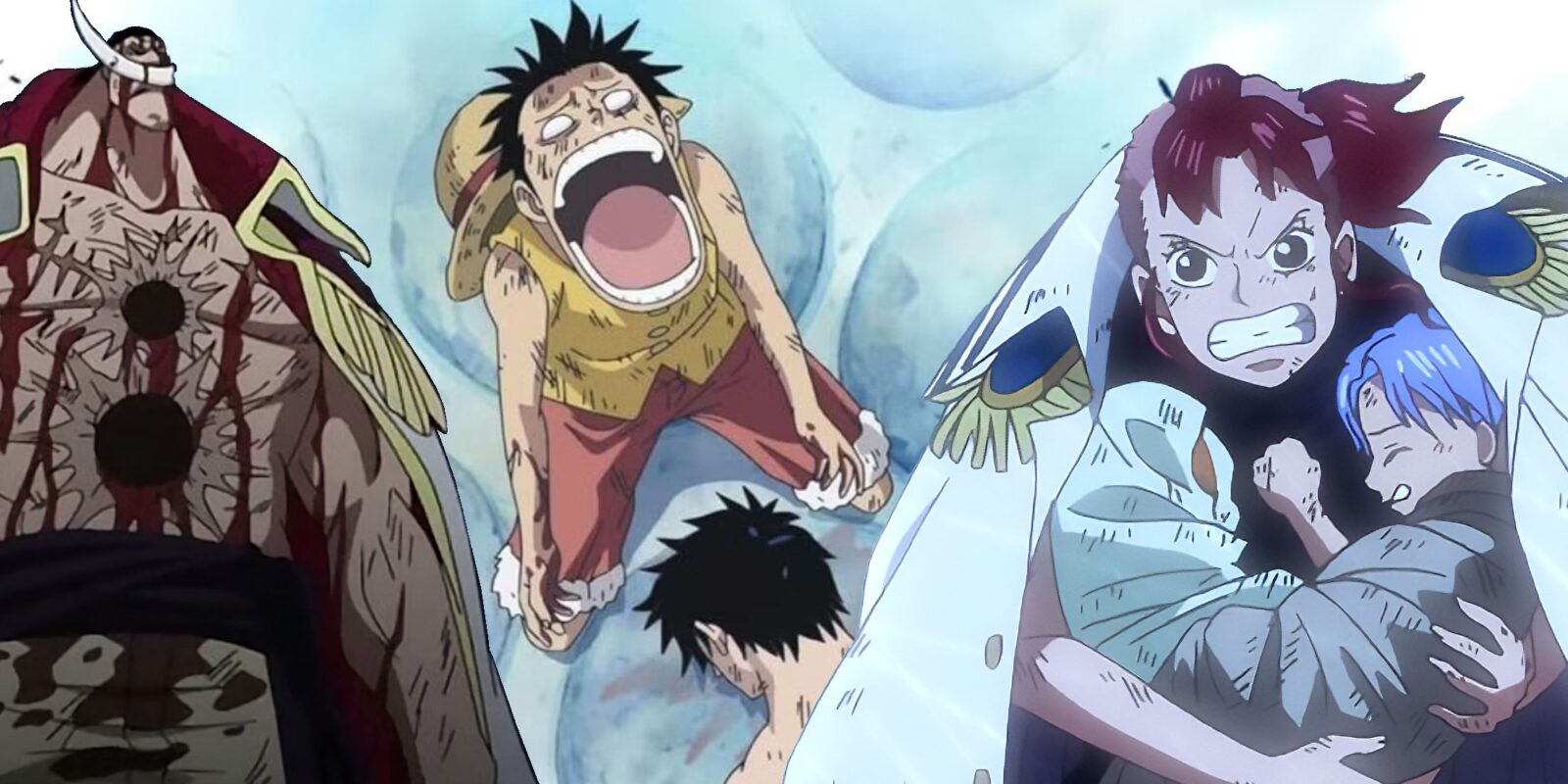 Saddest Deaths In One Piece