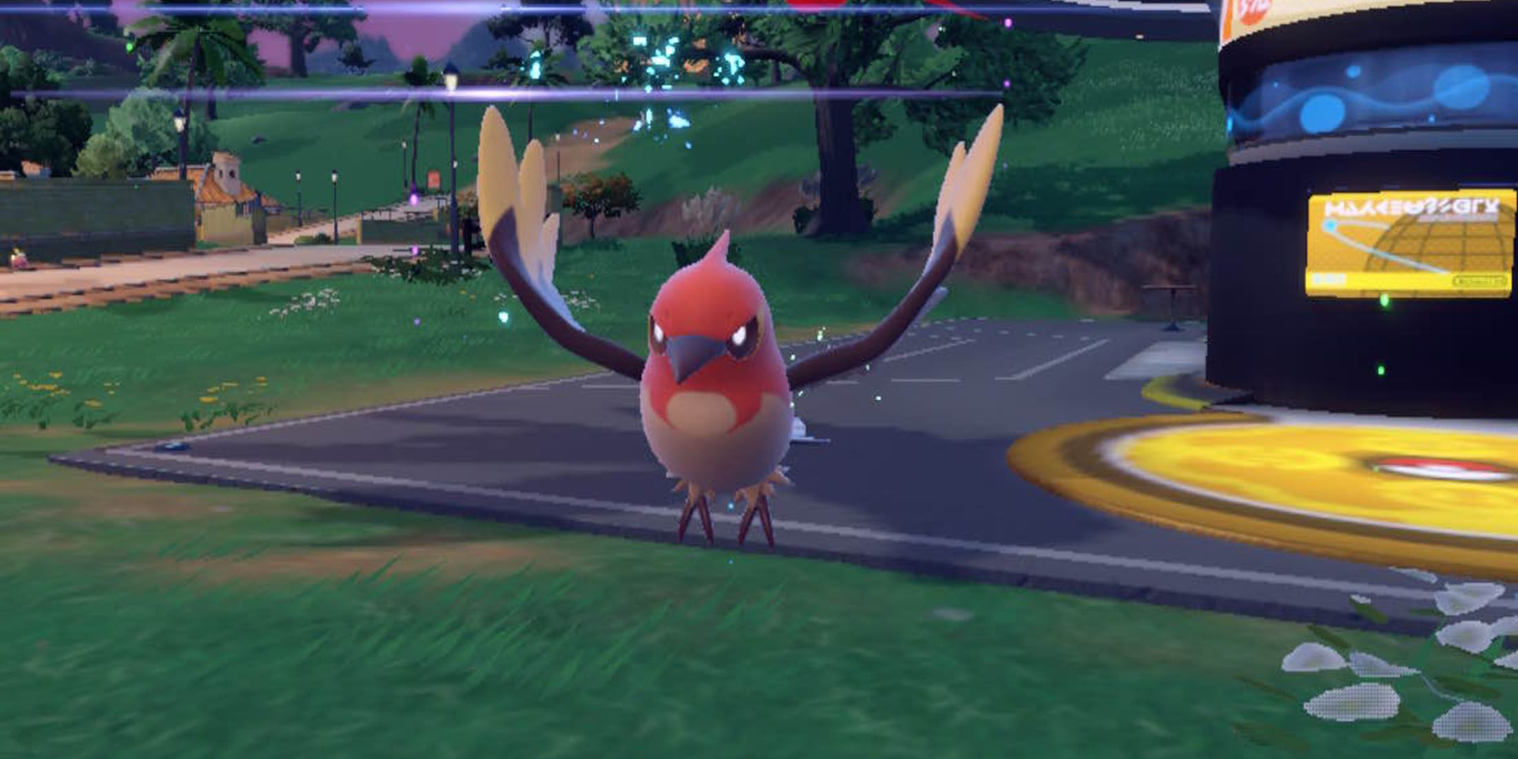 Pokemon Shiny Fletchinder