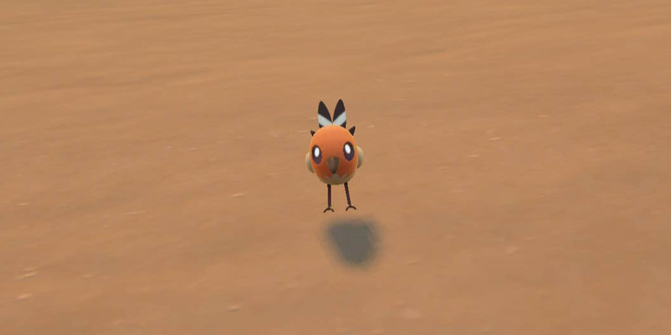 Pokemon Shiny Fletchling