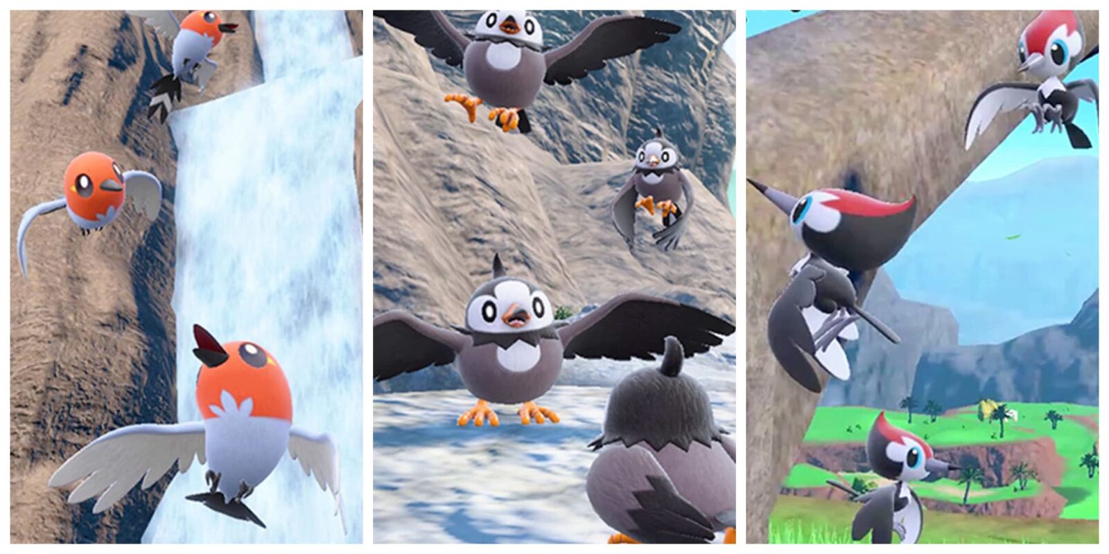 Regional Bird Outbreak Shiny Forms, Ranked