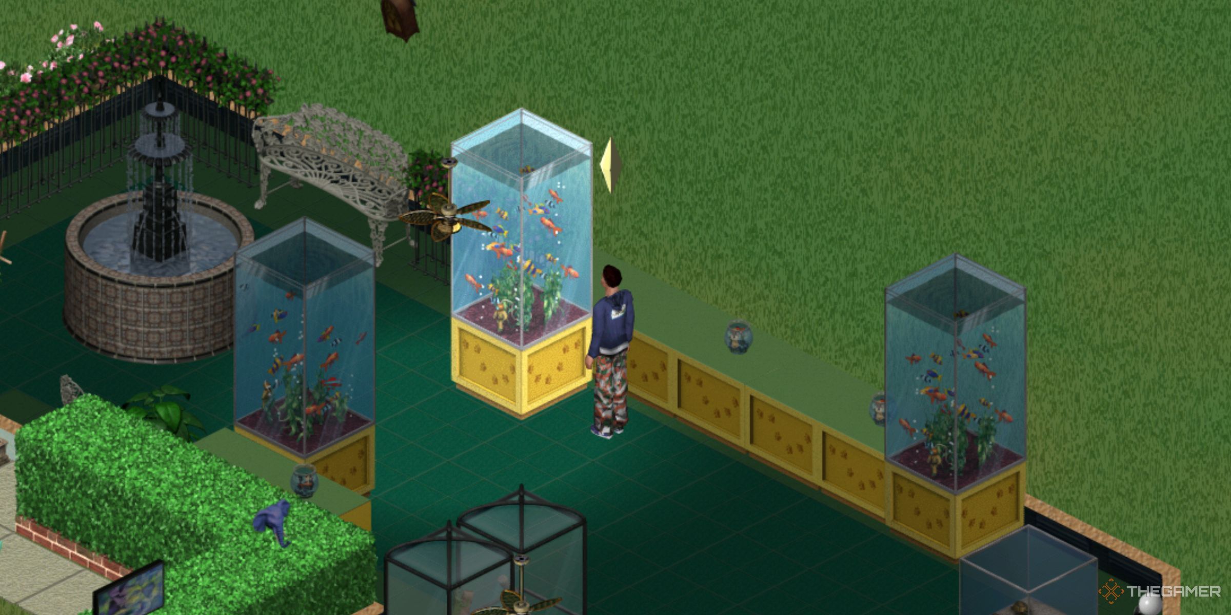 A Sim Browsing Various Fish Inside The Pet Paradise Store In The Sims Legacy Collection.