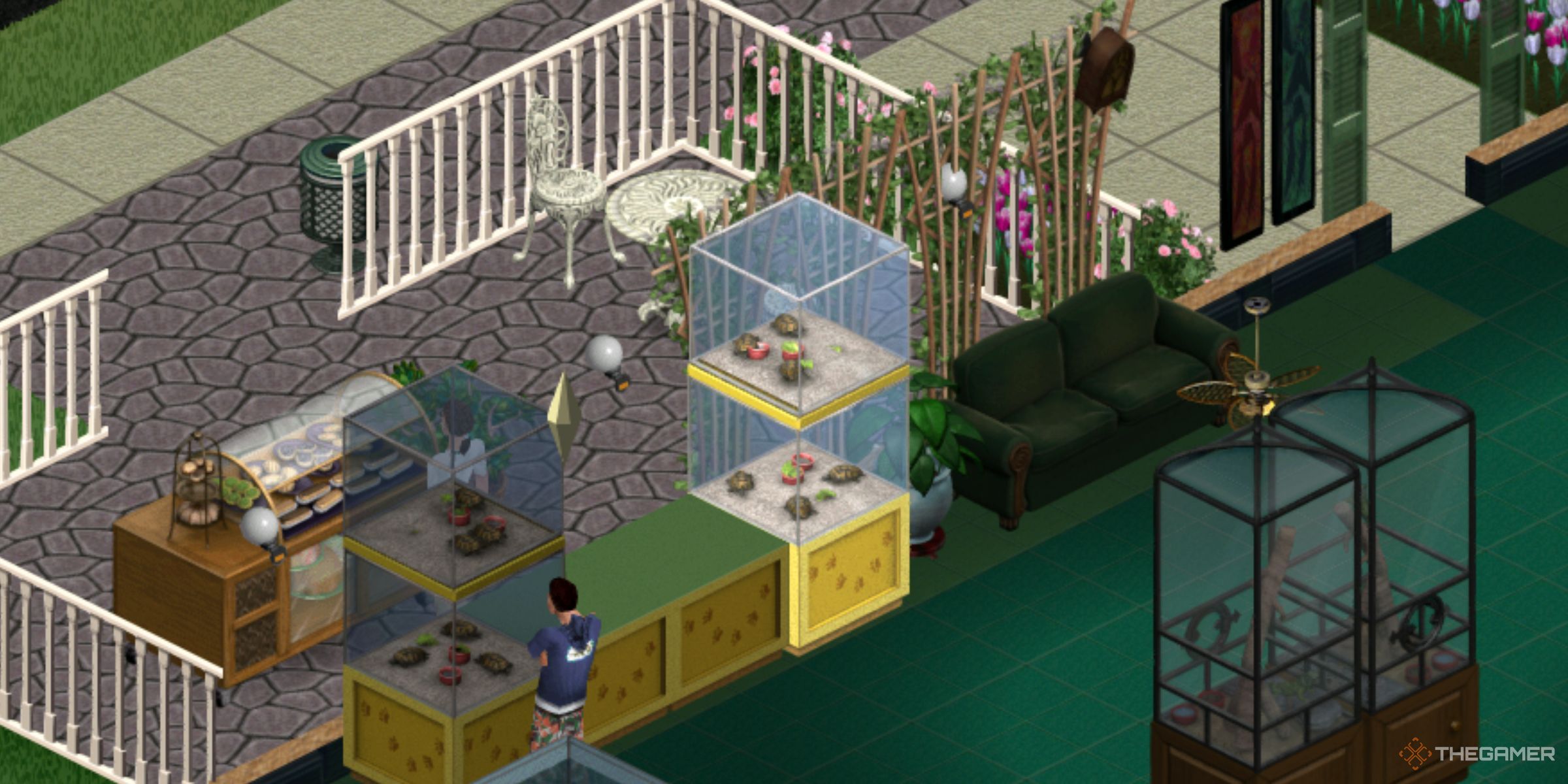 A Sim Browsing Turtles Inside The Pet Paradise Store In The Sims Legacy Collection.