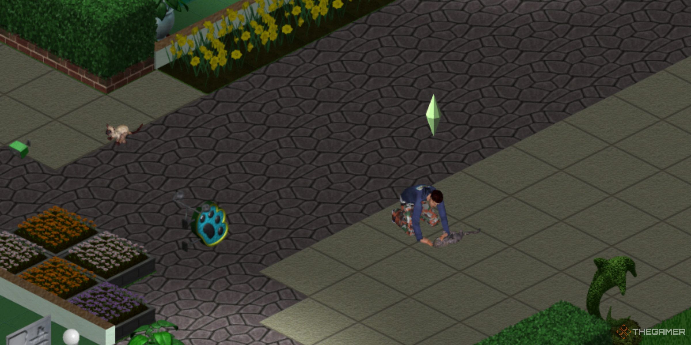 A Sim Playing With A Cat With Another Running Behind Outside The Pet Paradise Store In The Sims Legacy Collection.