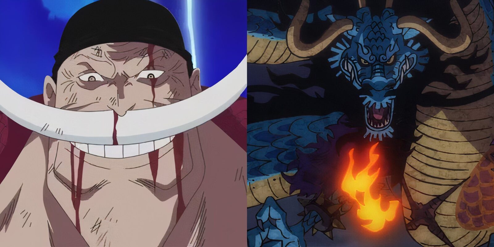 One Piece Matchups Fans Wish They Saw