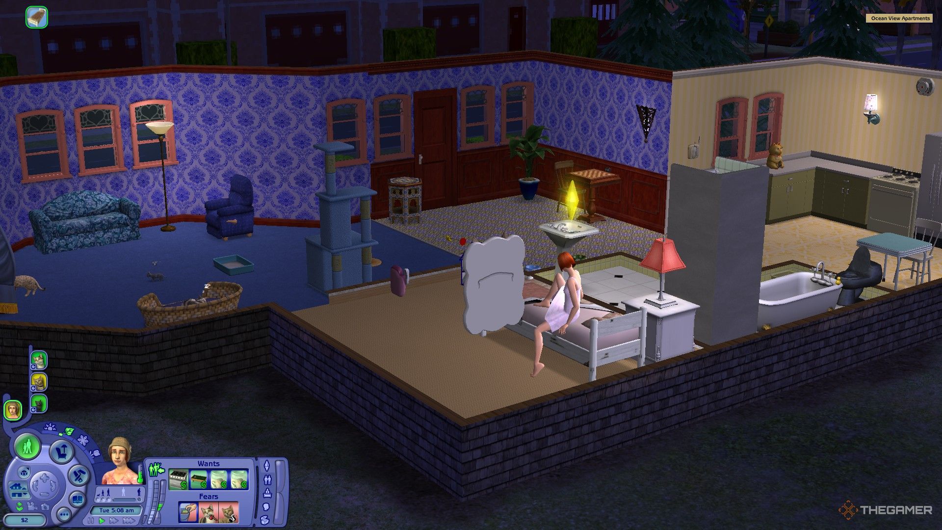 The player is living in their house in The Sims 2.