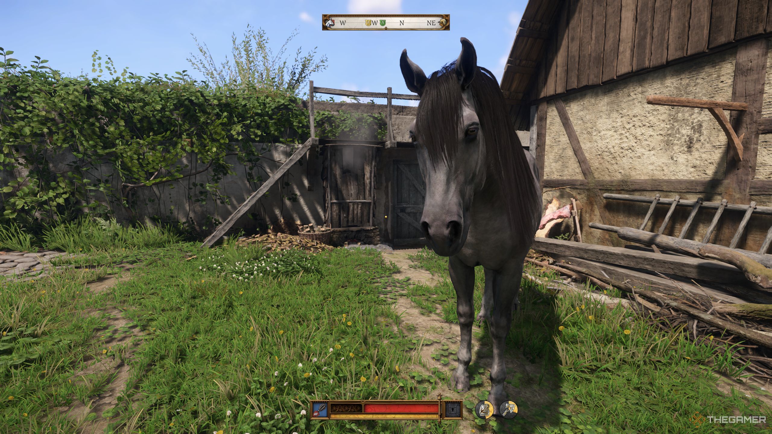 Henry standing in front of his horse, Pebbles.