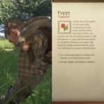 Where to Find Poppy in Kingdom Come: Deliverance 2