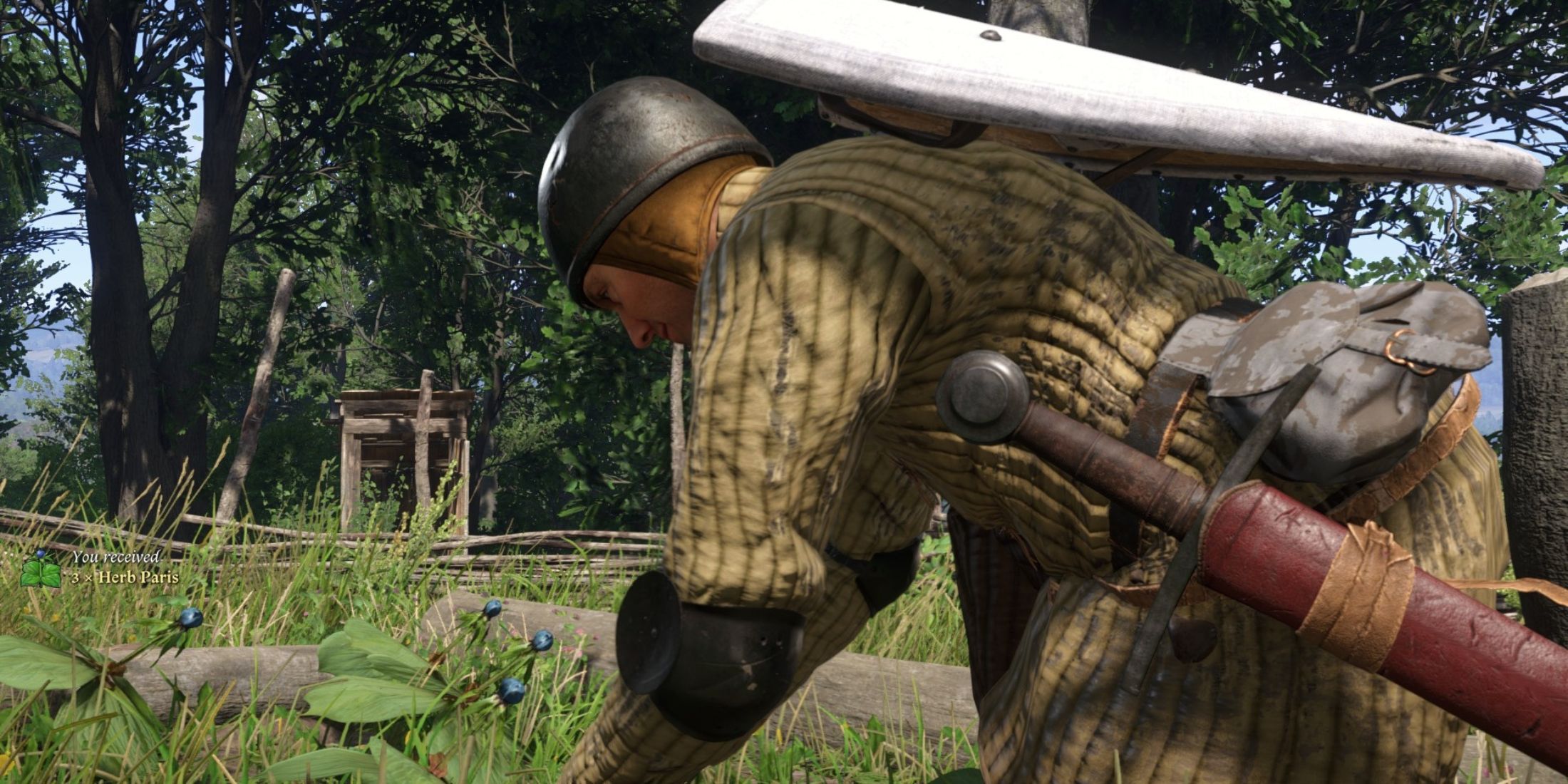 picking herb paris in kingdom come deliverance 2