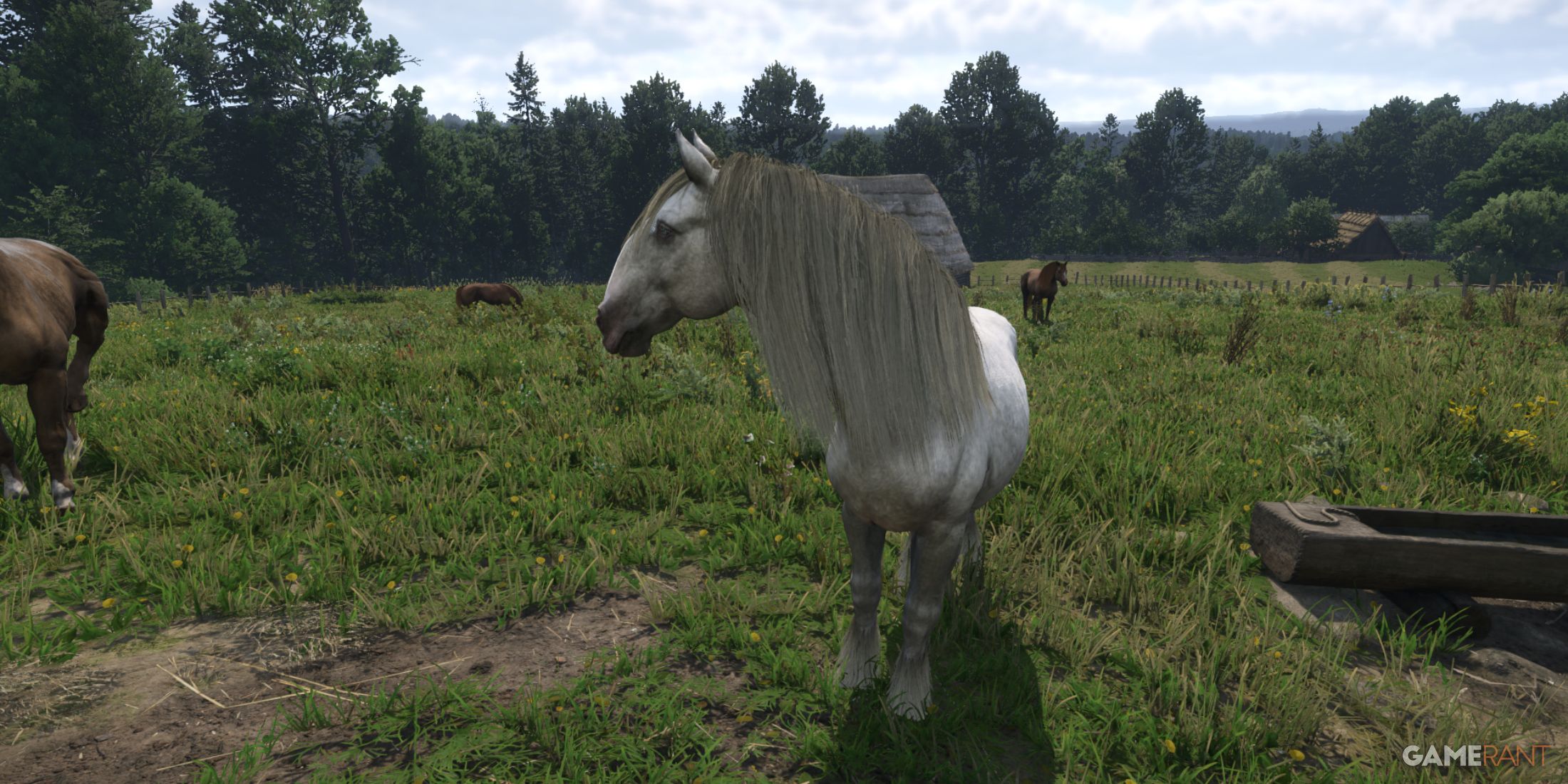 Soldier, a strong and dependable early game horse in Kingdom Come Deliverance 2, at a town gate