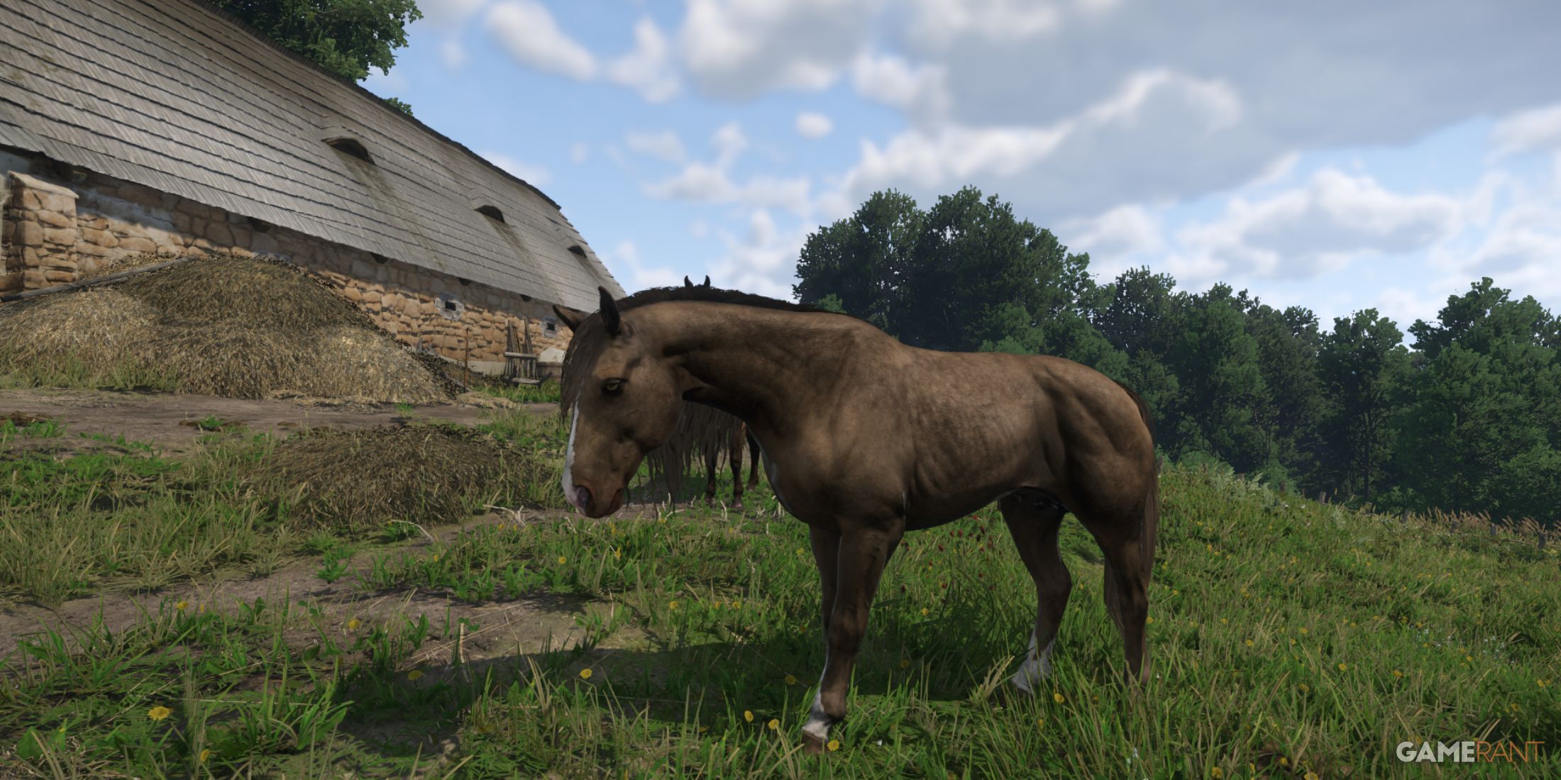 Bitterklee, a reliable early game horse in Kingdom Come Deliverance 2, grazing by the fields