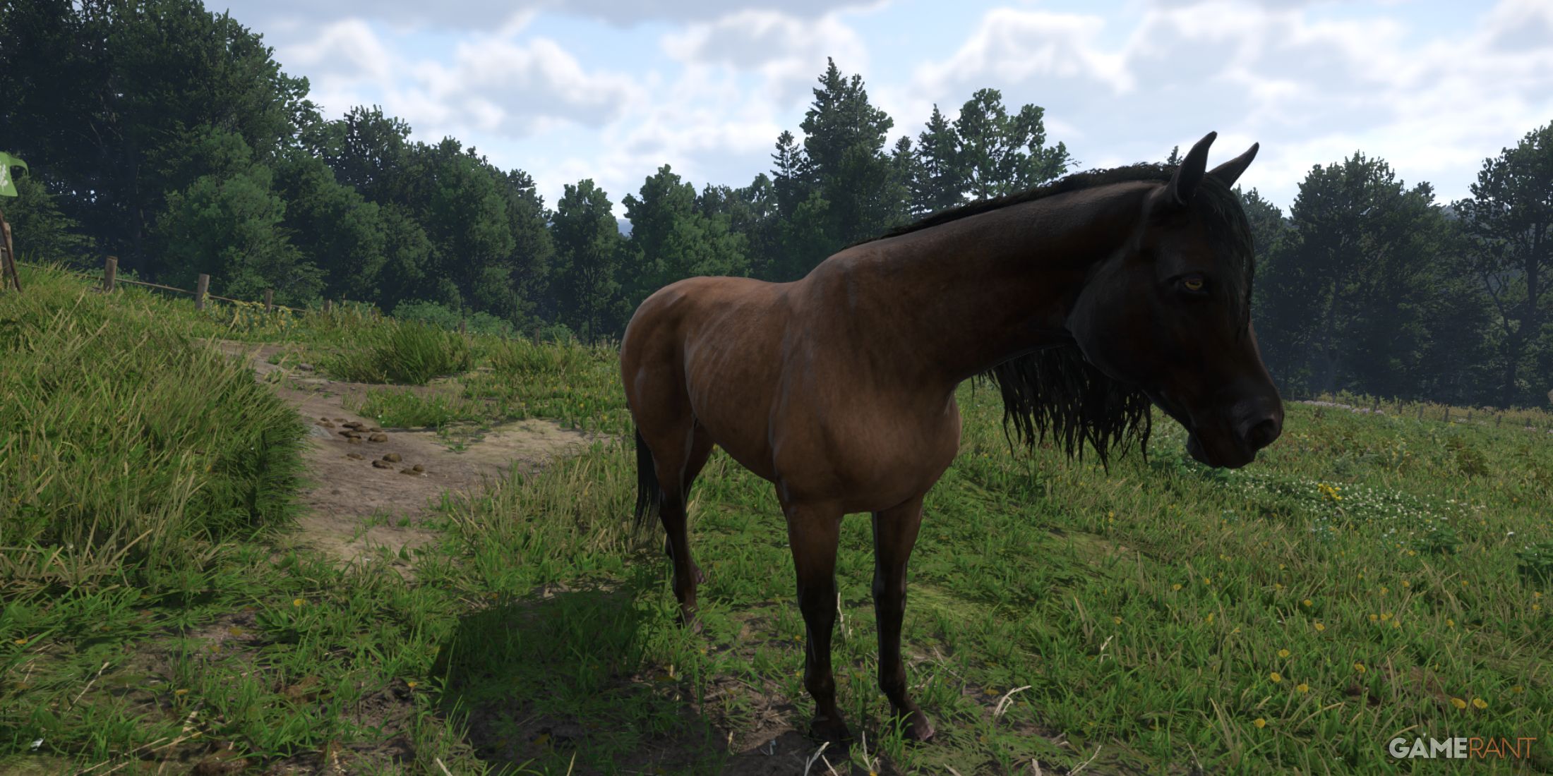 Tarant, a steady early game horse in Kingdom Come Deliverance 2, near a bustling stable