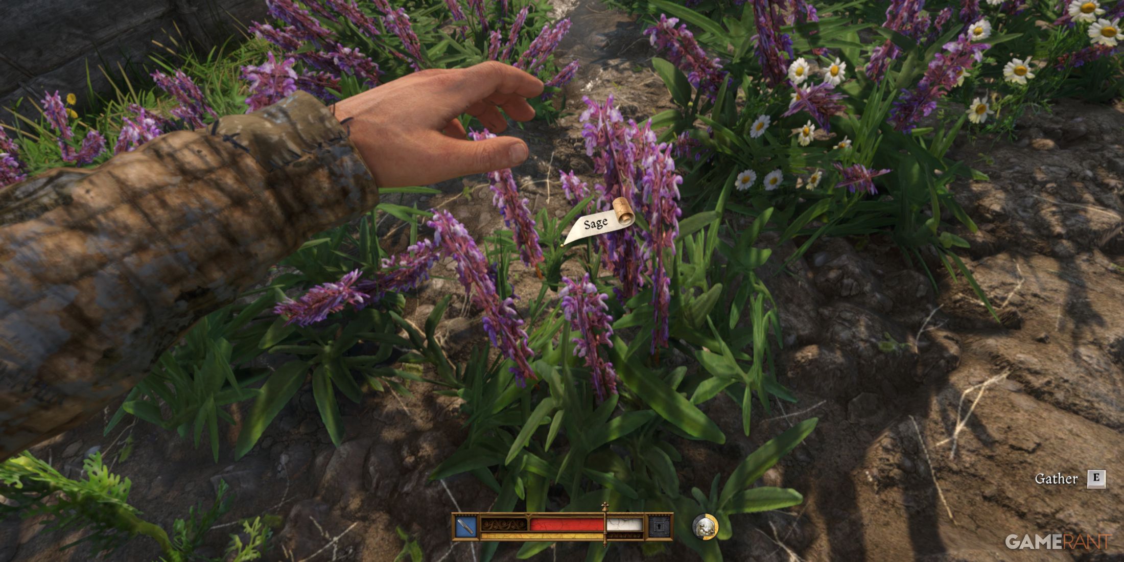 Gather herbs quickly without animations using Instant Herb Picking 2 mod in Kingdom Come Deliverance 2